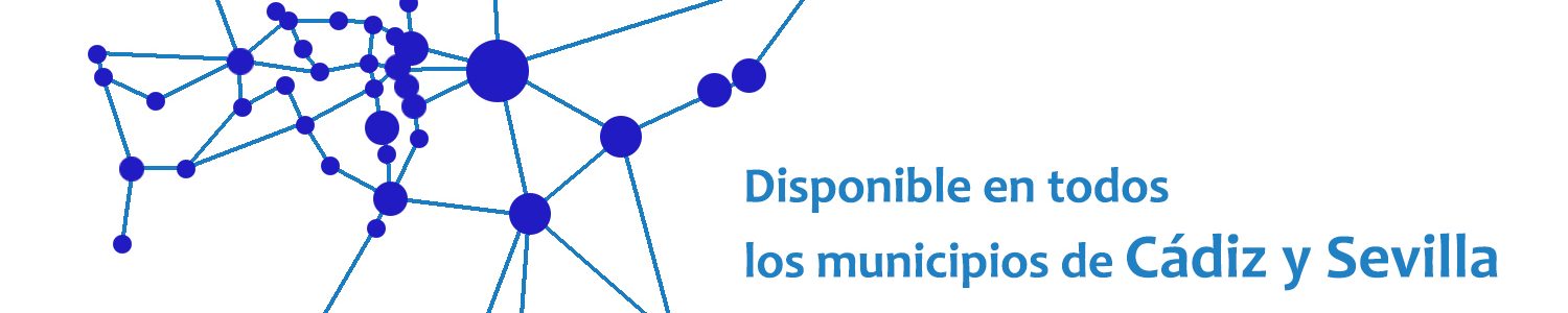 Disponibilidad 2021